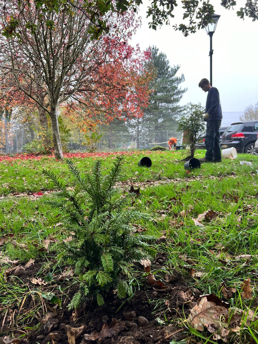 ecosupportltd's tweet photo. Our habitats team have been busy creating a new hedgehog hibernation feature and planting native trees for the local community!🦔🪵🍂🌳

Small steps like these make a big difference for wildlife and help keep our environment thriving🙌🏼

#WildlifeConservation #LocalCommunity https://t.co/QFiQZW5T7q