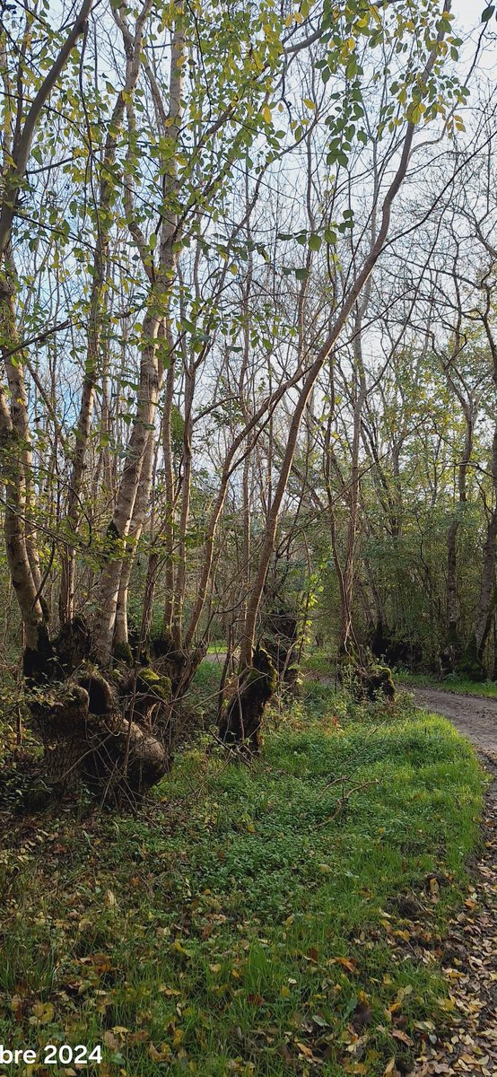 Bonsoir le monde
Très belle soirée
Bisous