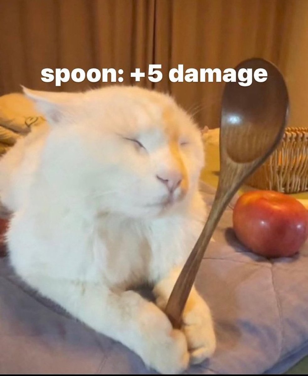 PunchingCat's tweet photo. https://t.co/NkIGcFqWq3