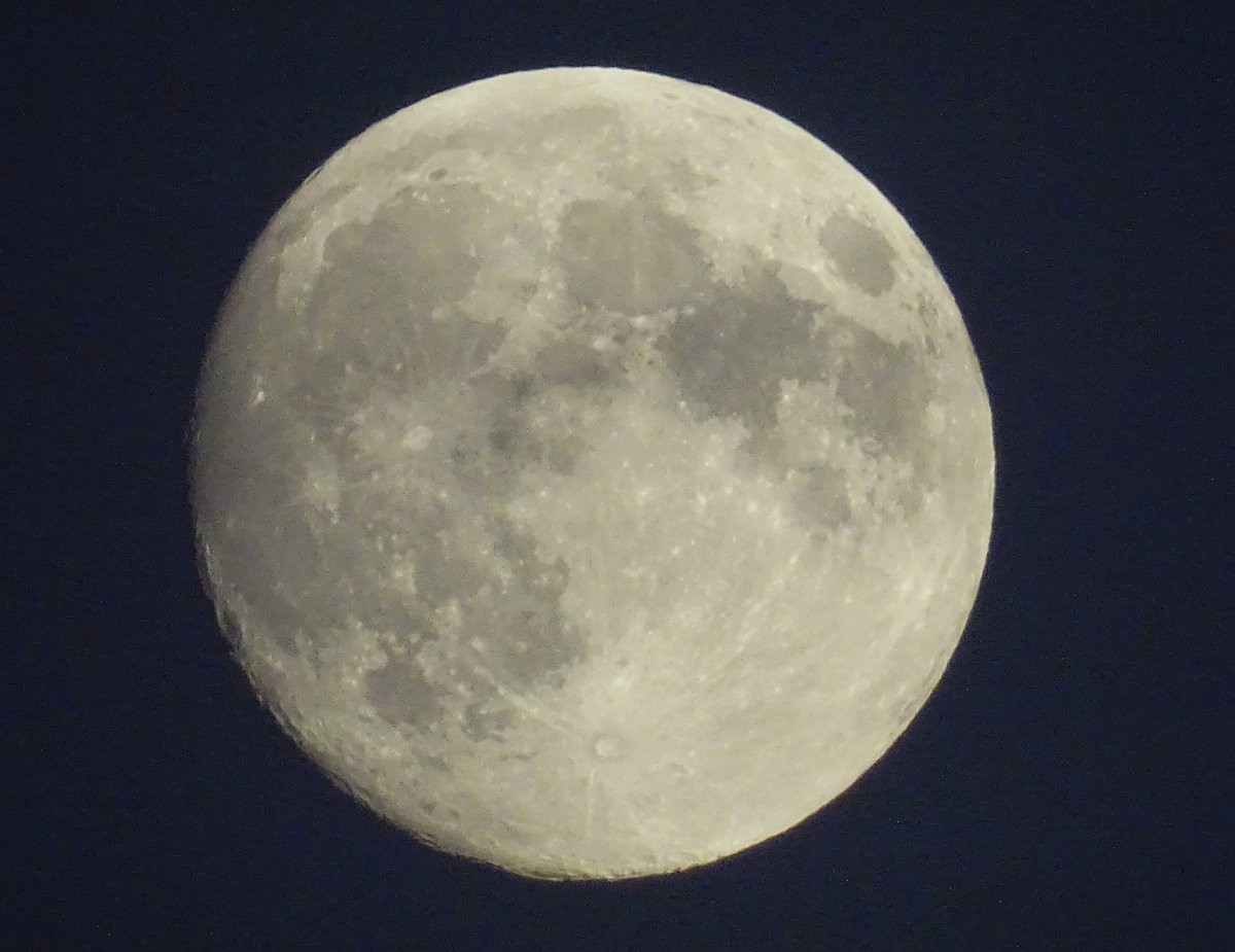 MarburyBirds's tweet photo. Lovely moon tonight. One of my friendly crows posed just in front of it, but I am afraid my photography skills couldn't cope with depth of field! https://t.co/VNQIAiMQUW