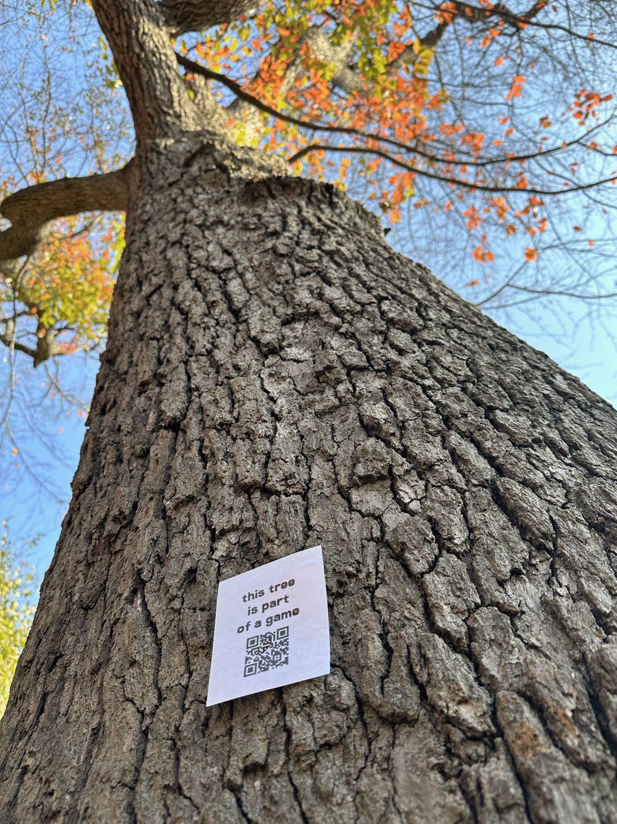 Andrew MacDowell tweet media