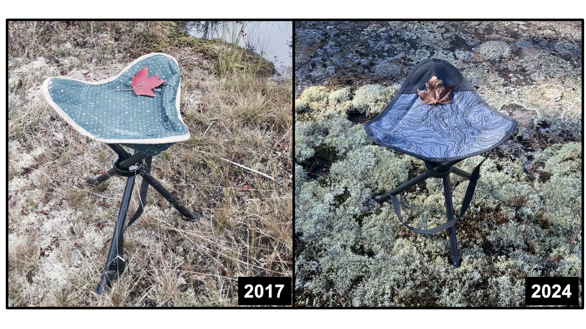 Mike Waddington tweet media