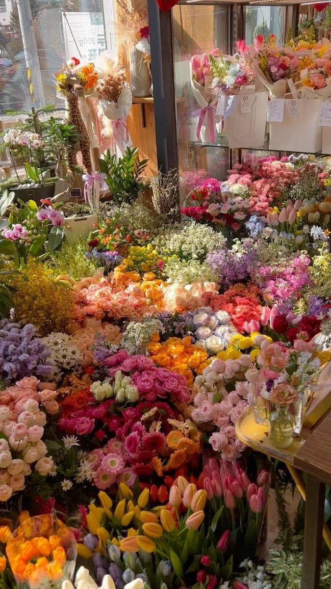 Heaven is heaven 🦋💐🥰