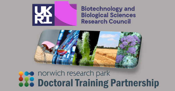 NRPDTP (@nrpbiodtp) on Twitter photo We are delighted to announce that we have been awarded a Doctoral Landscape Award from the Biotechnology and Biological Sciences Research Council (UKRI-BBSRC)
<a href="/NRPBIODTP/">NRPDTP</a> <a href="/JohnInnesCentre/">John Innes Centre</a> <a href="/EarlhamInst/">Earlham Institute</a> <a href="/TheQuadram/">Quadram Institute</a> <a href="/TheSainsburyLab/">The Sainsbury Laboratory</a> <a href="/uniofeastanglia/">UEA</a>
biodtp.norwichresearchpark.ac.uk We are delighted to announce that we have been awarded a Doctoral Landscape Award from the Biotechnology and Biological Sciences Research Council (UKRI-BBSRC)
<a href="/NRPBIODTP/">NRPDTP</a> <a href="/JohnInnesCentre/">John Innes Centre</a> <a href="/EarlhamInst/">Earlham Institute</a> <a href="/TheQuadram/">Quadram Institute</a> <a href="/TheSainsburyLab/">The Sainsbury Laboratory</a> <a href="/uniofeastanglia/">UEA</a>
biodtp.norwichresearchpark.ac.uk