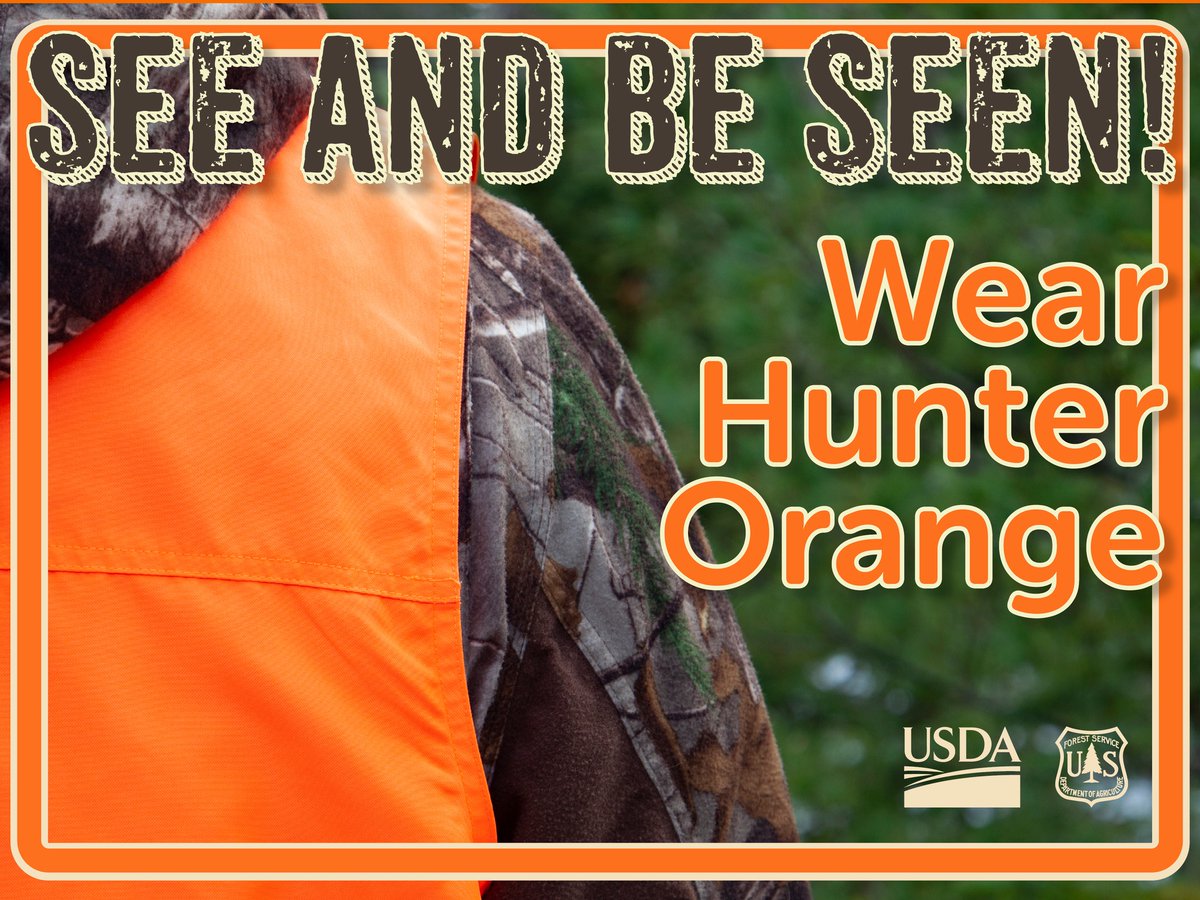 Hoosier National Forest tweet media