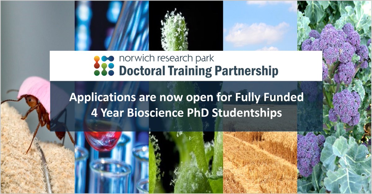 NRPDTP (@nrpbiodtp) on Twitter photo Are you looking for a funded PhD studentship? If so, look at the NRPDTP website for details of our projects starting in Oct’25 (lnkd.in/eAzgH-vx)
<a href="/NRPBIODTP/">NRPDTP</a> <a href="/JohnInnesCentre/">John Innes Centre</a> <a href="/EarlhamInst/">Earlham Institute</a> <a href="/TheQuadram/">Quadram Institute</a> <a href="/TheSainsburyLab/">The Sainsbury Laboratory</a> <a href="/uniofeastanglia/">UEA</a> Are you looking for a funded PhD studentship? If so, look at the NRPDTP website for details of our projects starting in Oct’25 (lnkd.in/eAzgH-vx)
<a href="/NRPBIODTP/">NRPDTP</a> <a href="/JohnInnesCentre/">John Innes Centre</a> <a href="/EarlhamInst/">Earlham Institute</a> <a href="/TheQuadram/">Quadram Institute</a> <a href="/TheSainsburyLab/">The Sainsbury Laboratory</a> <a href="/uniofeastanglia/">UEA</a>