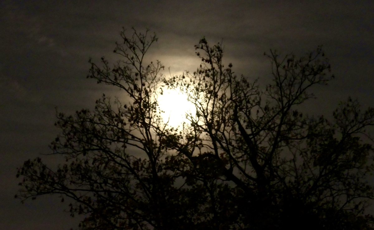 Waxing Gibbous, full moon tomorrow 😜