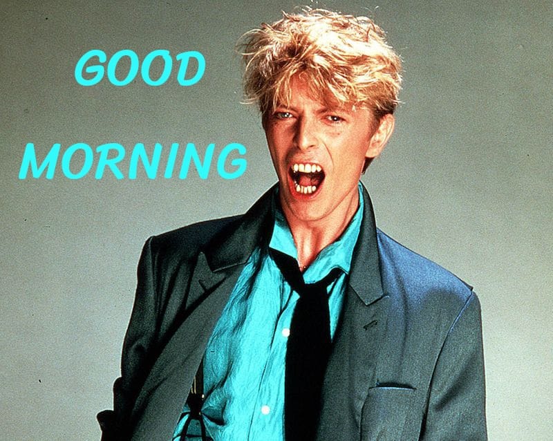 lostinspace (@bowieart) on Twitter photo #BowieForever #TBT #NoMoreWar Have a great day Kooks&Friends Sending love to all ⚡️🕊️ <a href="/DavidBowieReal/">David Bowie Official</a> <a href="/TheNomiGirl/">Do You Nomi ⏚</a> <a href="/2006Giuliana/">Jul</a> <a href="/Brooshski/">Iain Bruce</a> <a href="/LadySta48470651/">Lady Stardust</a> <a href="/Tzipor336/">Tatiana אסתרLiberman</a> <a href="/Franklyaghost/">🎶🎵 ℤ𝔸ℕ𝔼 ℤ𝔸ℕ𝔼 ℤ𝔸ℕ𝔼🎵🎶</a> @TestamentOfDark <a href="/thenextday13/">Thomas McEwan</a> <a href="/AnneMarieMoon12/">Anne Marie Mooney</a> <a href="/looby60/">Looby</a> <a href="/Juju5316/">Juju53</a> <a href="/giusmars/">Titty</a> <a href="/MeltedDollParts/">MeltedBarbie✨🫧🌙</a> #BowieForever #TBT #NoMoreWar Have a great day Kooks&Friends Sending love to all ⚡️🕊️ <a href="/DavidBowieReal/">David Bowie Official</a> <a href="/TheNomiGirl/">Do You Nomi ⏚</a> <a href="/2006Giuliana/">Jul</a> <a href="/Brooshski/">Iain Bruce</a> <a href="/LadySta48470651/">Lady Stardust</a> <a href="/Tzipor336/">Tatiana אסתרLiberman</a> <a href="/Franklyaghost/">🎶🎵 ℤ𝔸ℕ𝔼 ℤ𝔸ℕ𝔼 ℤ𝔸ℕ𝔼🎵🎶</a> @TestamentOfDark <a href="/thenextday13/">Thomas McEwan</a> <a href="/AnneMarieMoon12/">Anne Marie Mooney</a> <a href="/looby60/">Looby</a> <a href="/Juju5316/">Juju53</a> <a href="/giusmars/">Titty</a> <a href="/MeltedDollParts/">MeltedBarbie✨🫧🌙</a>