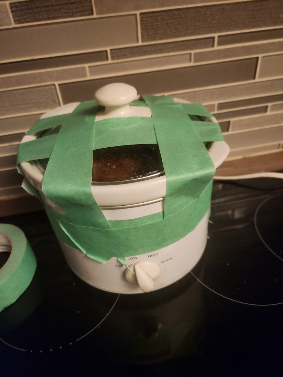 She may have a cute face, but that sweet kitten is the reason I had to  protect my pulled pork by taping the lid on the crockpot.  She will try to eat anything she can get to!