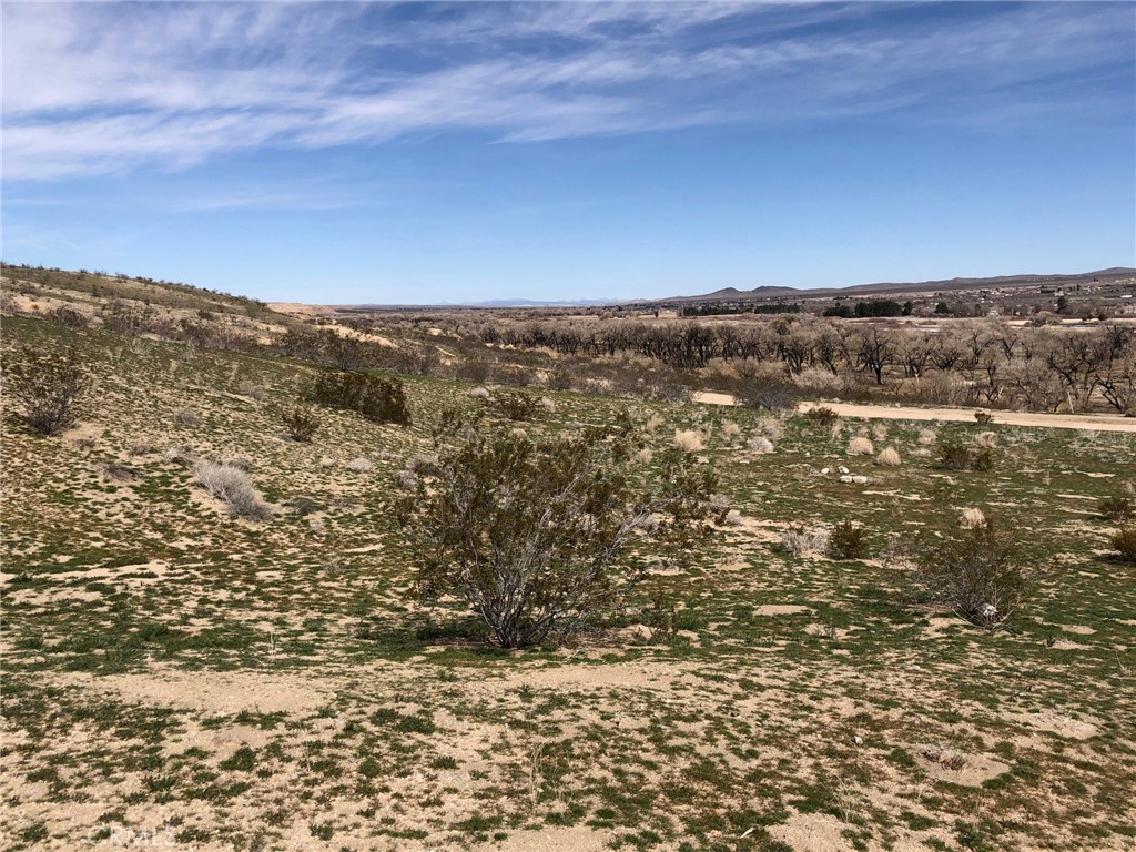 bradc21's tweet photo. #LandforSale Adelanto, CA.  List price $18,900USD
2.5 acres.  Seller financing available
@Century21 @C21LoisLauerRE https://t.co/JMmPYhYLFF