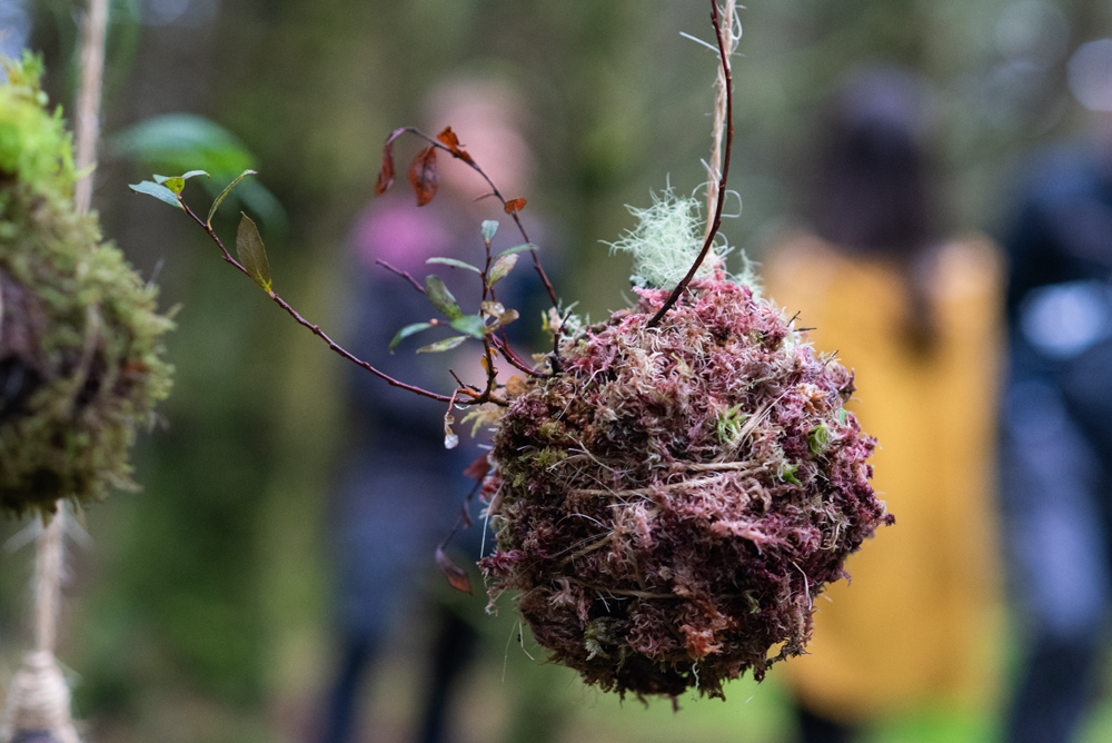 GalwayIntArts's tweet image. REMINDER: Submissions are open for Round 2 of the 2024 Open Call for ELEVATE Bursary Programme

Submission Information: giaf.ie/info/submissio…

Deadline: Wednesday 27 November 2024.

Image: Kokedama by Helena Doyle, Woodland Symposium @IInagh 📸 Aoife Herriott.
@galwaycultureco