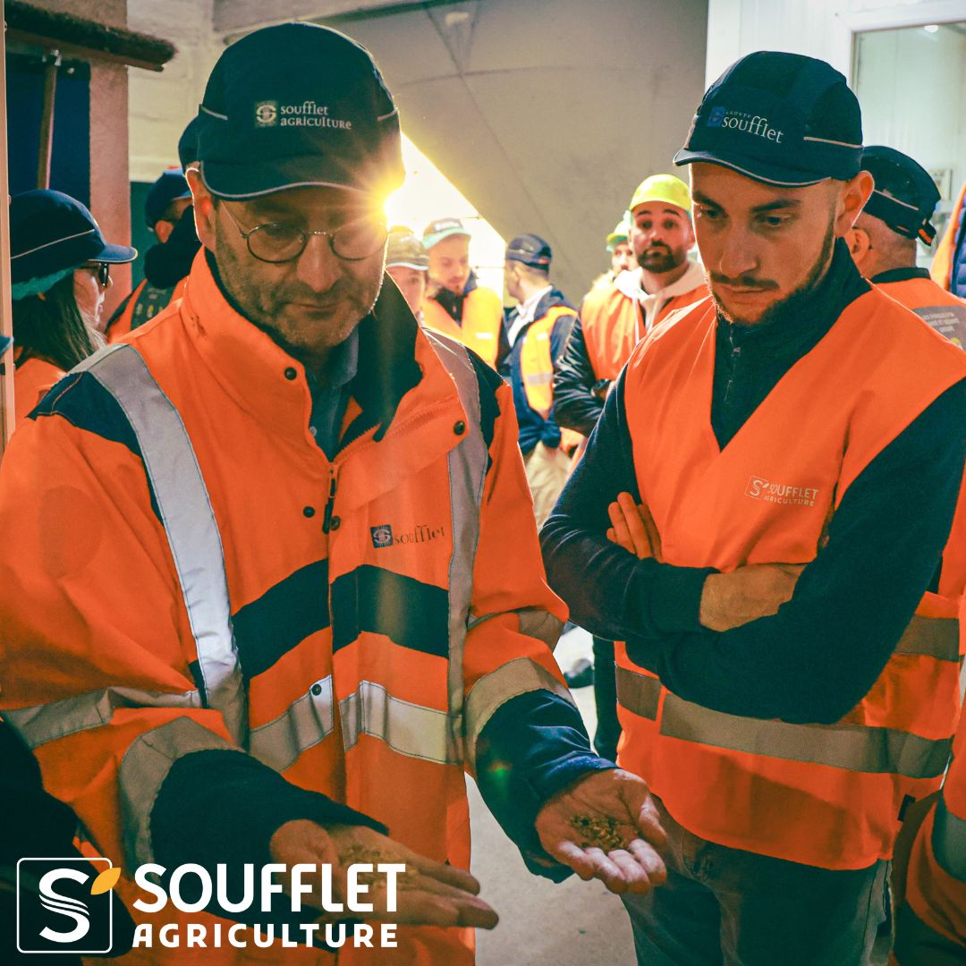 Soufflet Agriculture tweet media