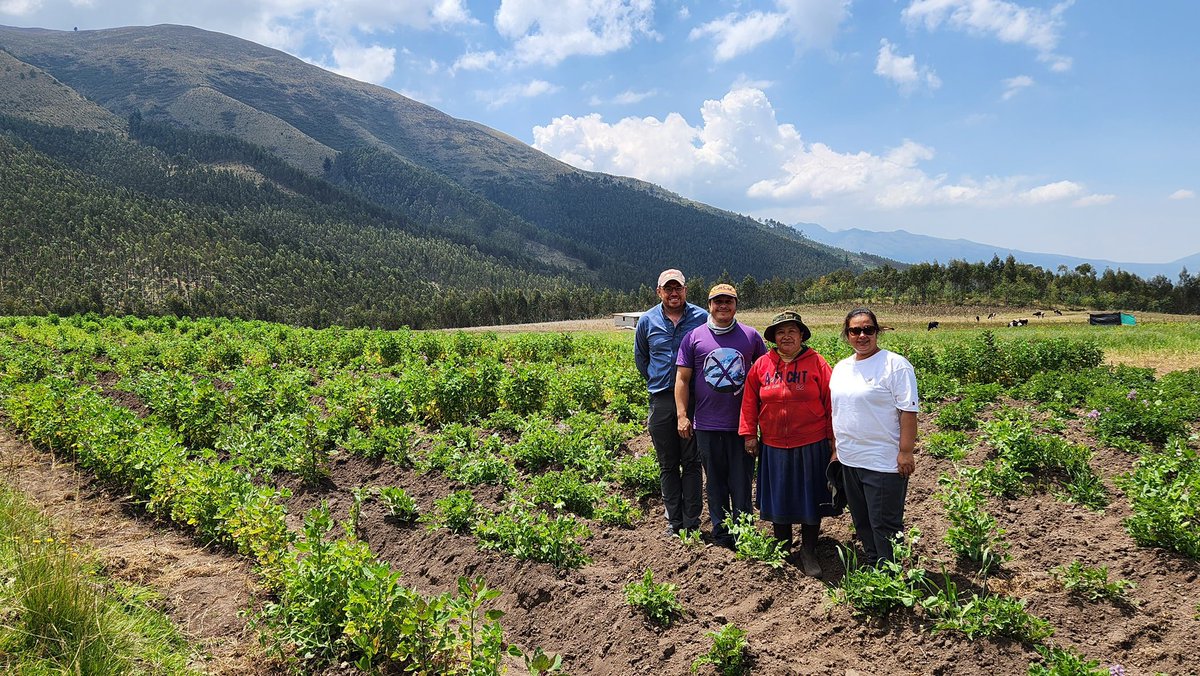 IniciativAndina's tweet photo. La Dra. Kalpana Sharma, Científica Senior del CIP, recorrió Ecuador para conocer el contexto andino y la situación de la enfermedad de punta morada y el psílido. Durante su recorrido destacó la necesidad de un enfoque de sistemas agrícolas para el manejo de esta enfermedad. 🌱💚 https://t.co/Aj4zsLbT8q