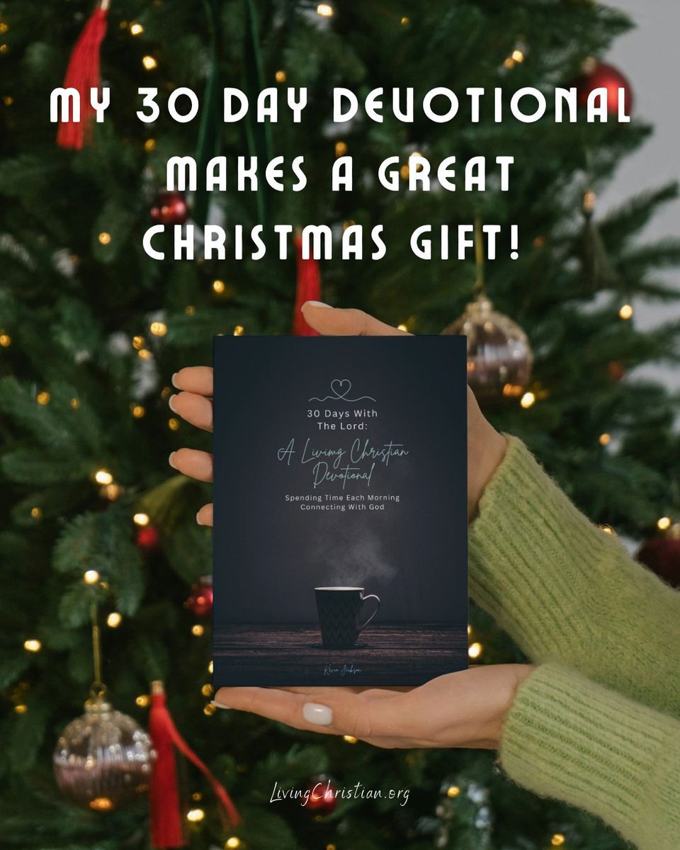 Looking for a special gift for the Christian in your life? 🎁

Check out my 30 day devotional, now at a lower price for the holidays!

Each day features a short message, related Bible verse and prayer! It also has a few questions to think about each day and a place to take notes!