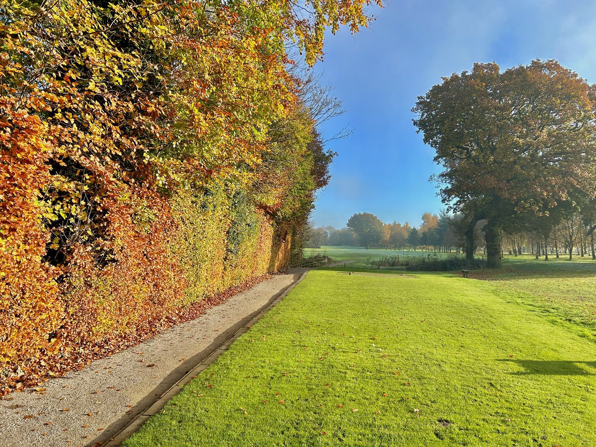 Lovely Autumnal colours on the 14th tee today, in between fog patches!!