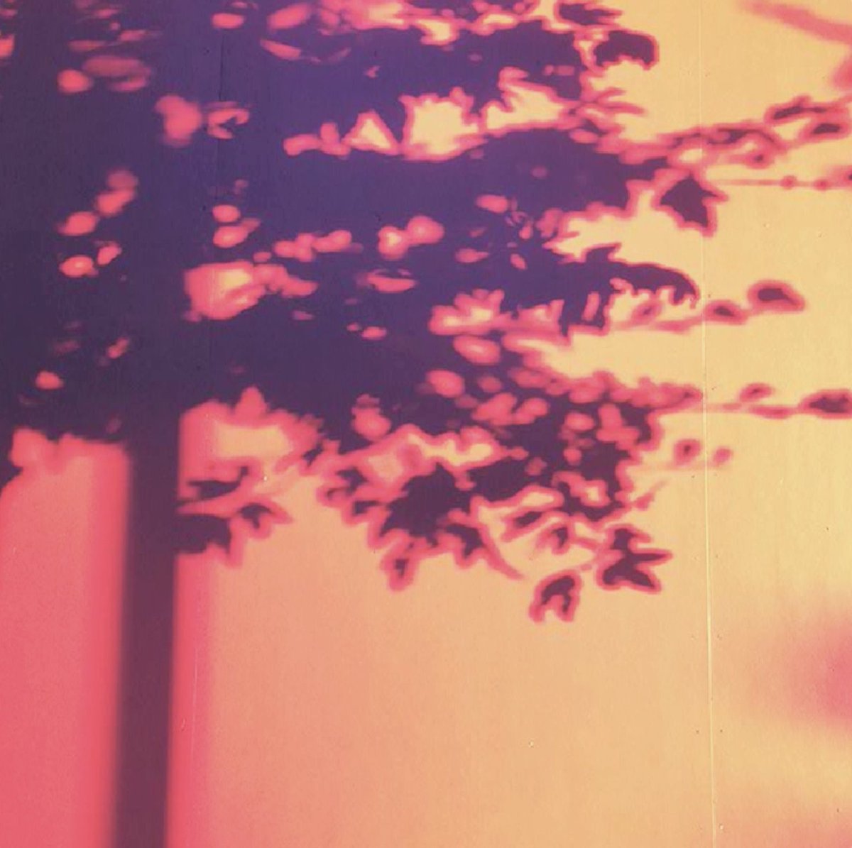 FEMMEBIT tweet media