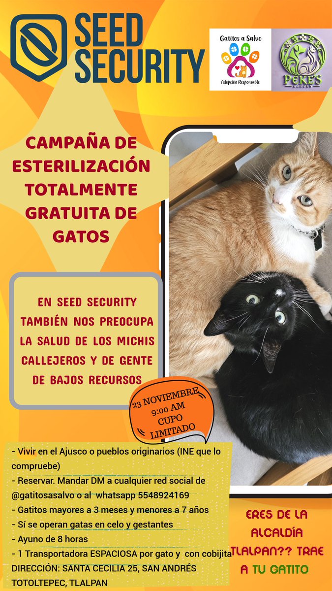 Recuerden que #SEEDSECURITY es una empresa socialmente responsable que se preocupa muchísimo por la salud de los gatitos y por eso nos aportó una campaña de esterilización, para 20 gatos. 

La semana pasada fue la fecha y sólo acudieron CINCO personas con su gatito. Traducción: