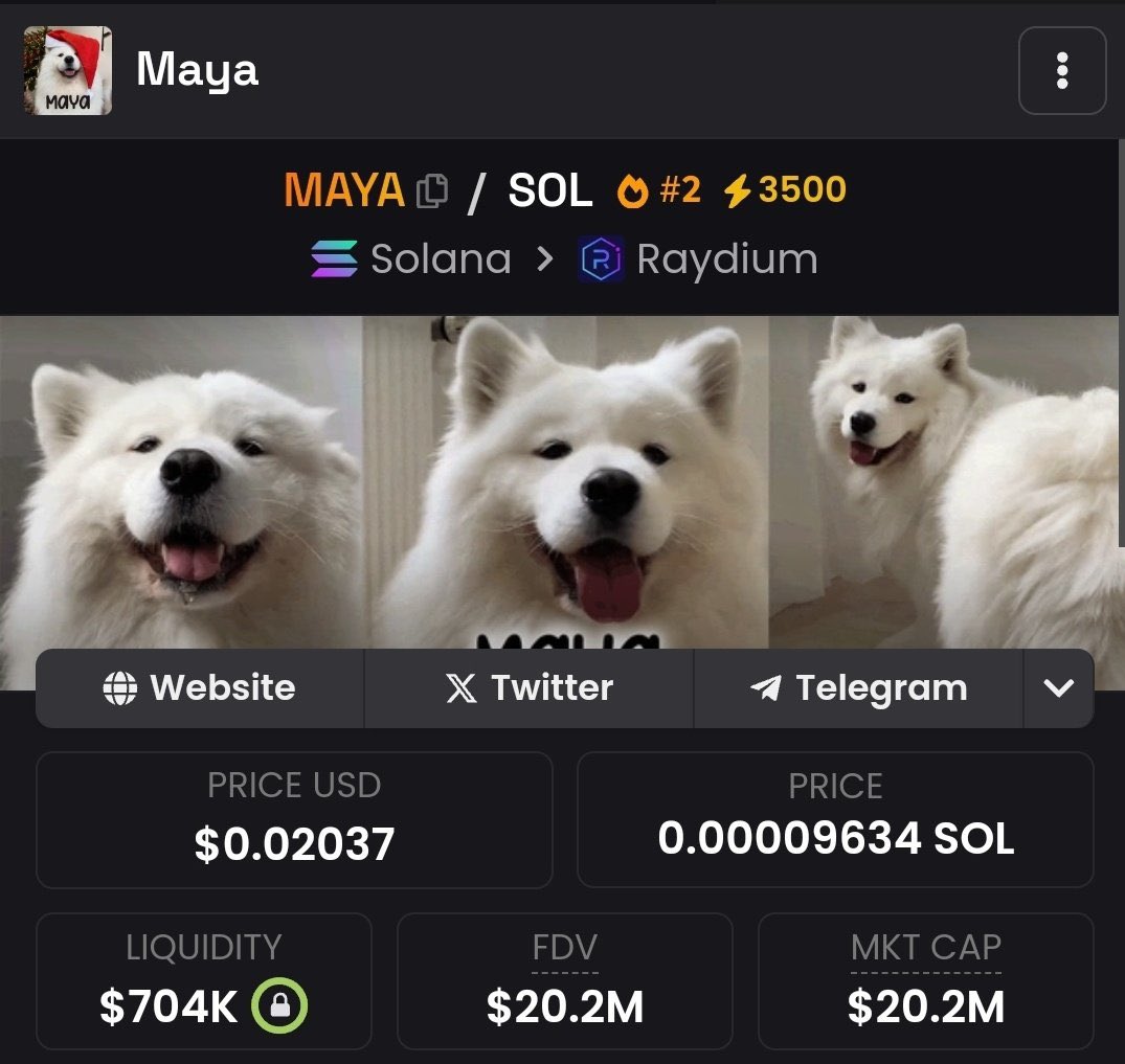 MoneyBTC tweet media