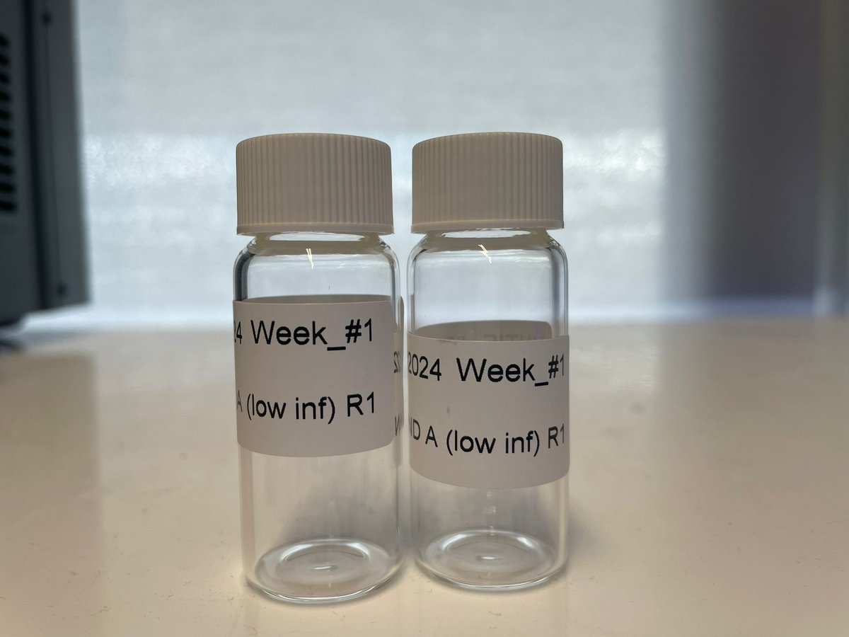 UNTIE__project's tweet image. Today was #SamplingDay, our #mesocosm experiment with cockles parasitised with Mytilicola has been running for a week. We&apos;ll be taking weekly samples of water and interstitial water to analyse how #parasites affect nutrient fluxes between these matrices. #UNTIE