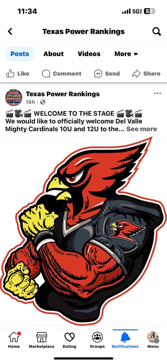 Del Valle Mighty Cardinals tweet media