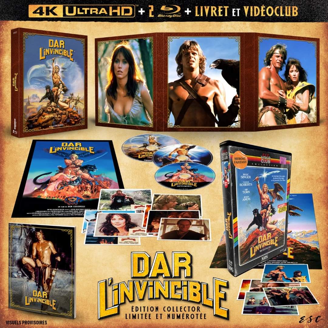 leloupceleste's tweet image. Après l'annonce, le visuel de l'édition collector limitée et numérotée ! 🐅🦅

#DarLInvincible (1982) en #4KUltraHD 📀, dès le 19 mars 2025 en 🇫🇷 via @ESC_Editions. #PhysicalMedia