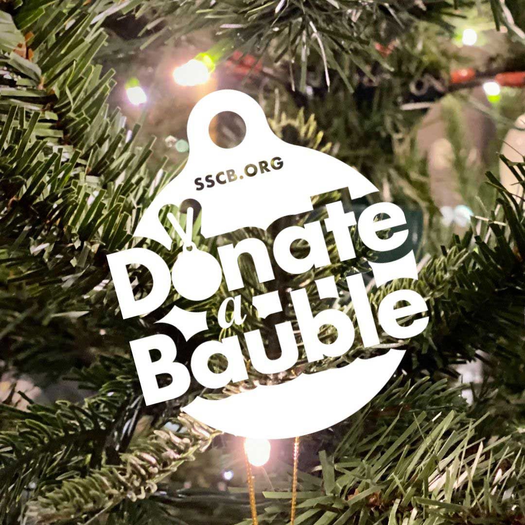 Bring a little extra sparkle to Christmas! 🎄 Donate a Bauble with SSCB and personalise it for those you cherish. #DonateABauble #SSCBTreeofLight buff.ly/3YER5r8