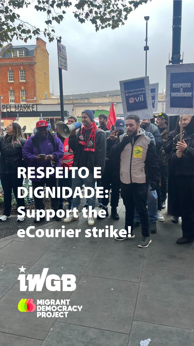 Migrant Democracy Project tweet media