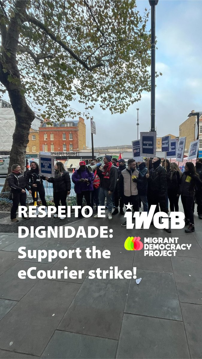 Migrant Democracy Project tweet media