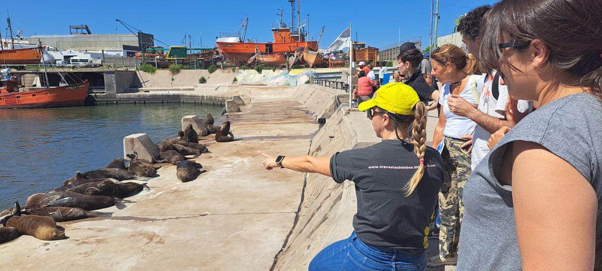 Dra Gisela Giardino tweet media