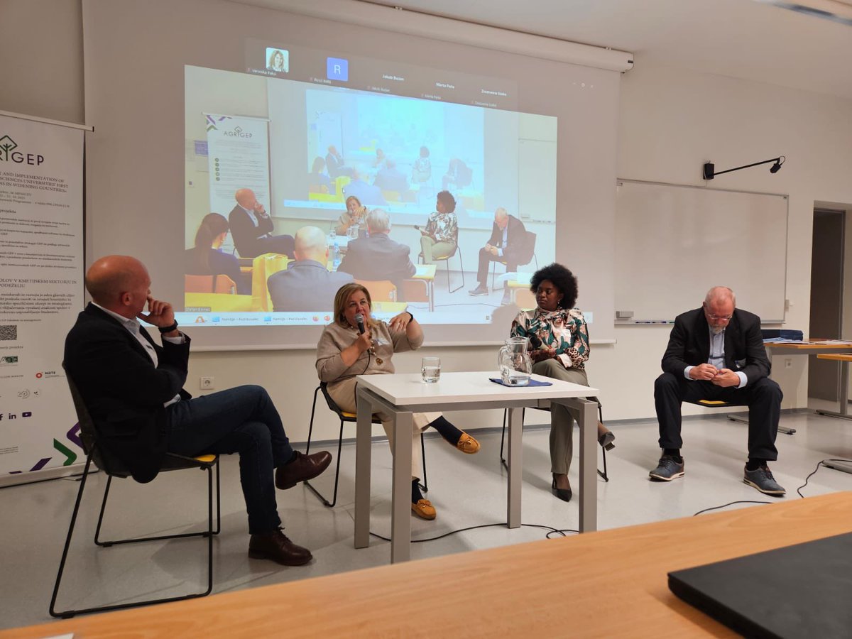 Yellow Window Design tweet media