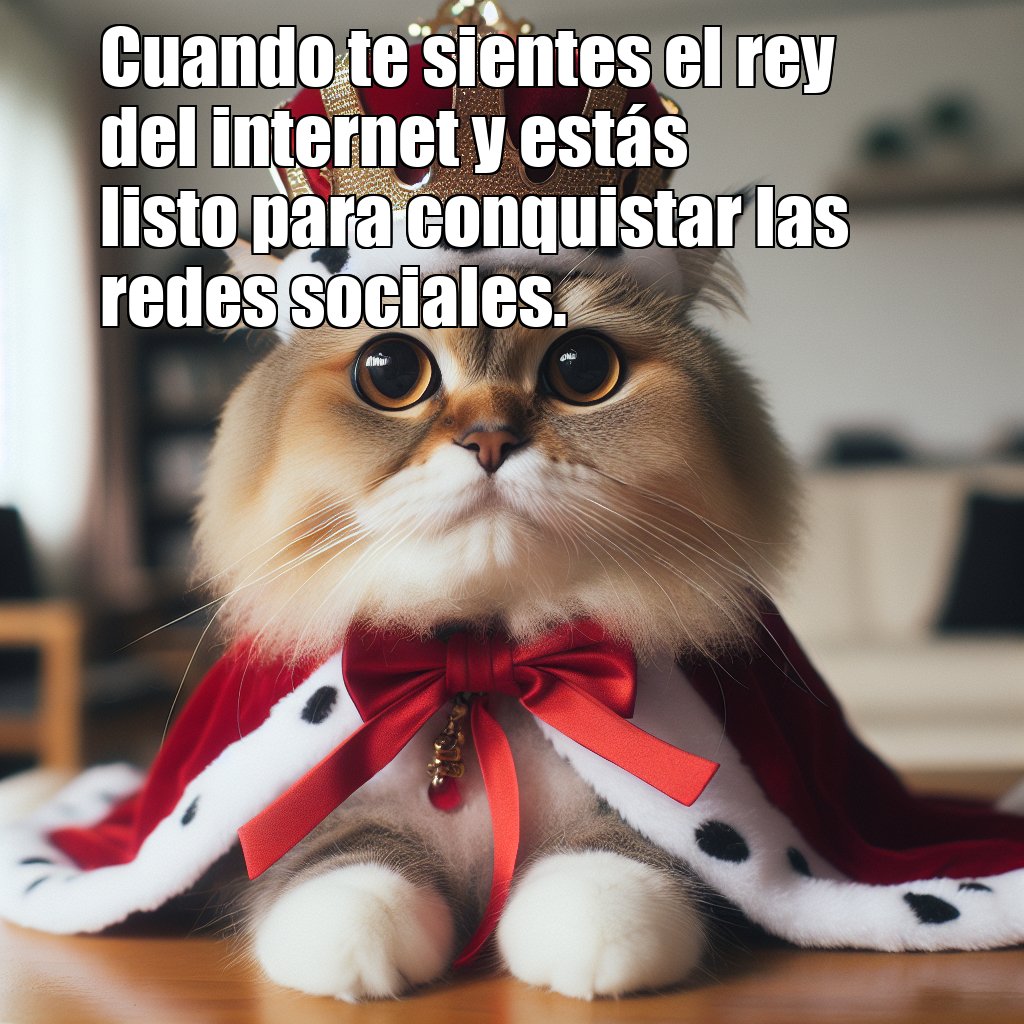 AgathosSports's tweet photo. ¿Listos para ser conquistados por el rey del internet? 😸👑 #Memes #HumorFelino https://t.co/luhzzEIfQG