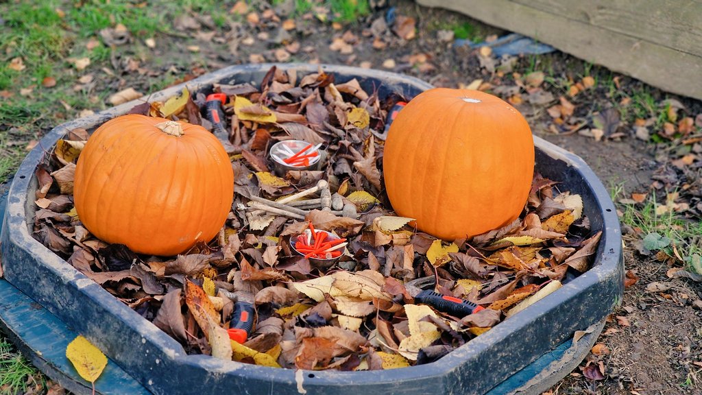 Wild Bears Forest School CIC tweet media