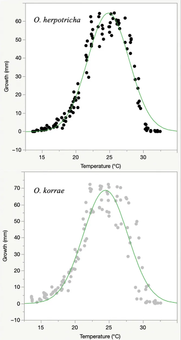 crop_science's tweet image. New research shows that fungicide applications in the fall, when soil temperatures reach around 13°C, provide the best control for spring dead spot in bermudagrass. 

doi.org/10.1002/csc2.2…

#SpringDeadSpot #BermudaGrass