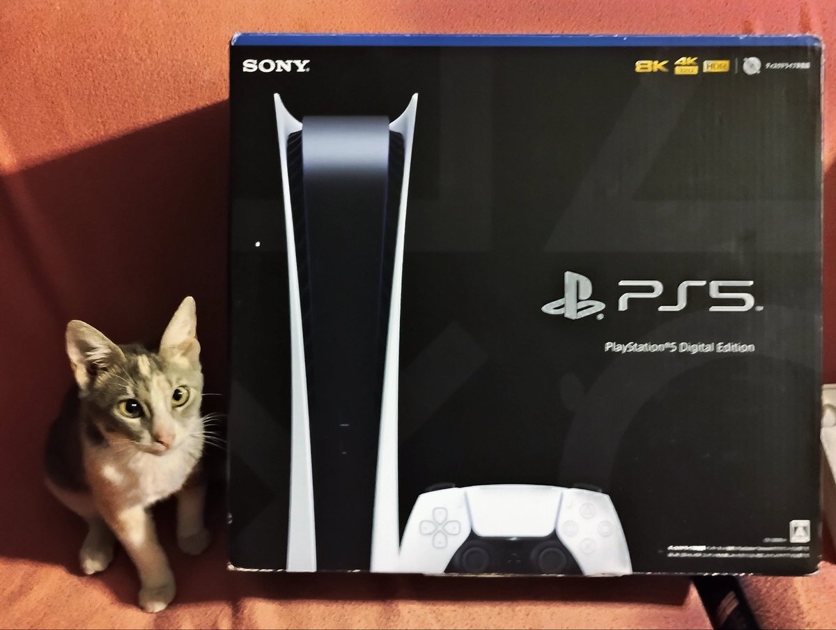 CALLASXD's tweet photo. Últimamente mi gata se ha estado saliendo de la casa porque se aburre, así que como buen padre y dueño le compré una Playstation 5, así se entretiene en la casa y no se aburre, por ahora no sabe utilizarlo así que yo lo voy a utilizar por el momento https://t.co/NbykPM1hEI