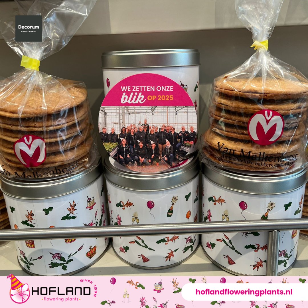 We #zetten onze #blik op 2025! #HoflandFloweringPlants geeft al #125jaar kleur aan het leven van mensen met haar #bloeiers. En dat hebben we in #2024 groots #gevierd. Binnenkort sluiten wij het #jaar #2024 af en zetten onze #blik samen met ons #team op #2025! #lidcactus #plant