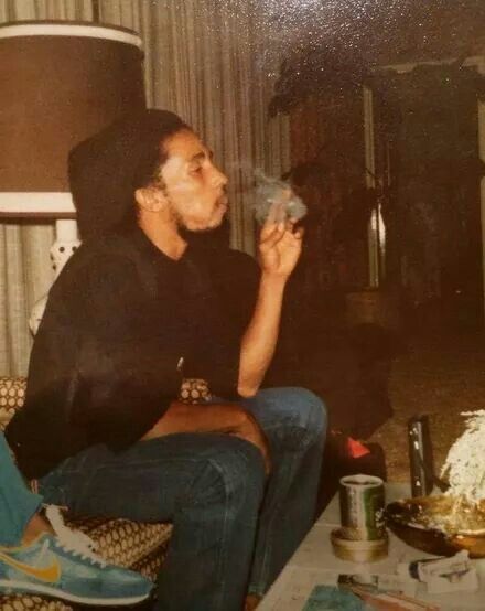 soulrebelbob's tweet photo. "Herb is a plant. Herb is good for everything." - Bob Marley | DM https://t.co/g2xo29iDuW