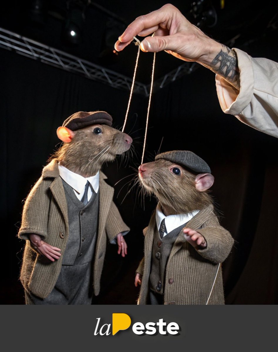 MiPanaPato's tweet photo. Cualquier parecido es pura narco coincidencia... 🎤🐀💰 #LaPeste https://t.co/h9WdF4JCEM