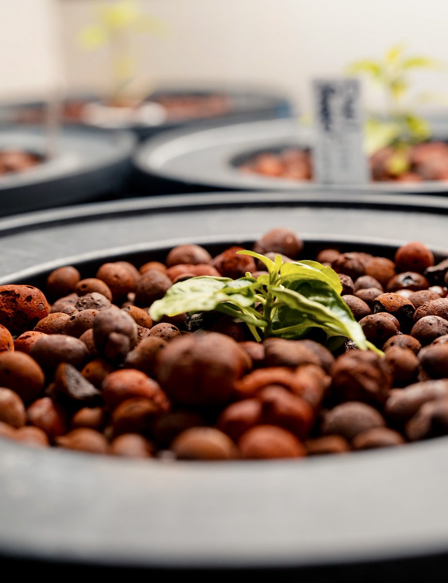 Shipshape Urban Farms tweet media