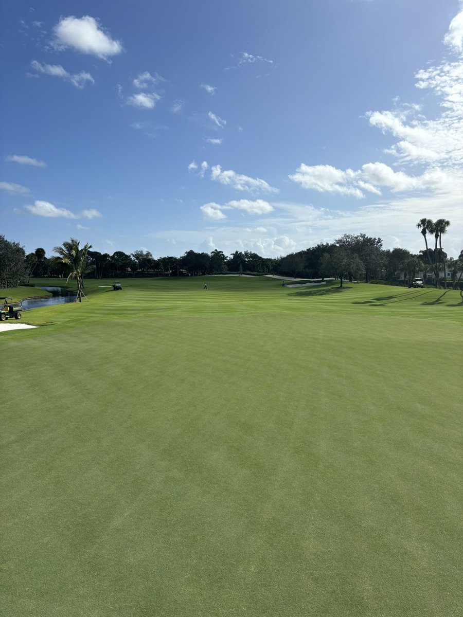 Josh Fleisher tweet media