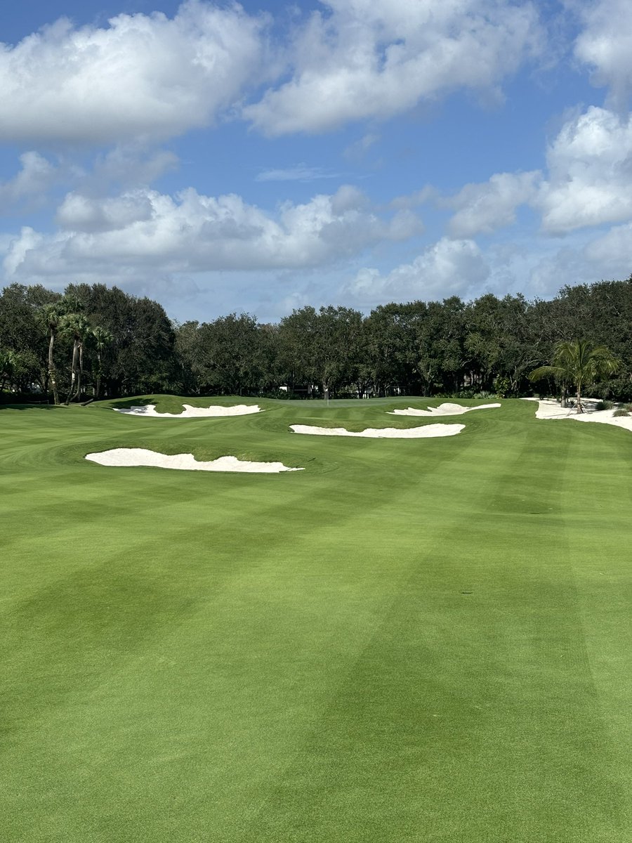 Josh Fleisher tweet media