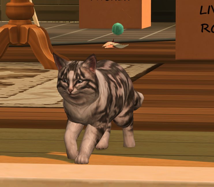 RGTeamOfficial's tweet photo. This cat is a menace to society, but also the best character in the show 💅

#TheSims4 #Sims4Machinima #Animation #RGContinuance https://t.co/eBqbFSc2AZ
