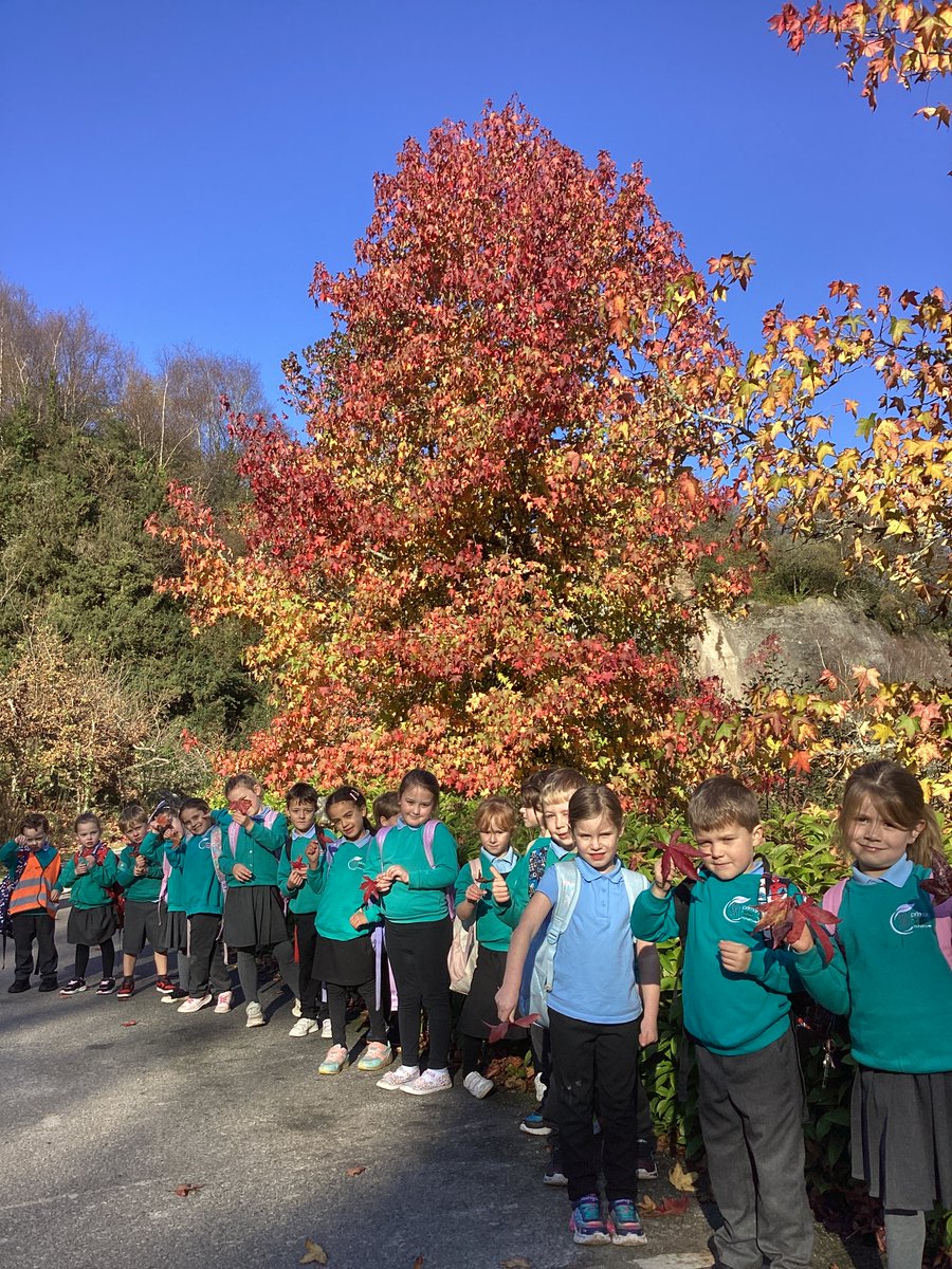 Sky Primary and Eden Project Nursery tweet media