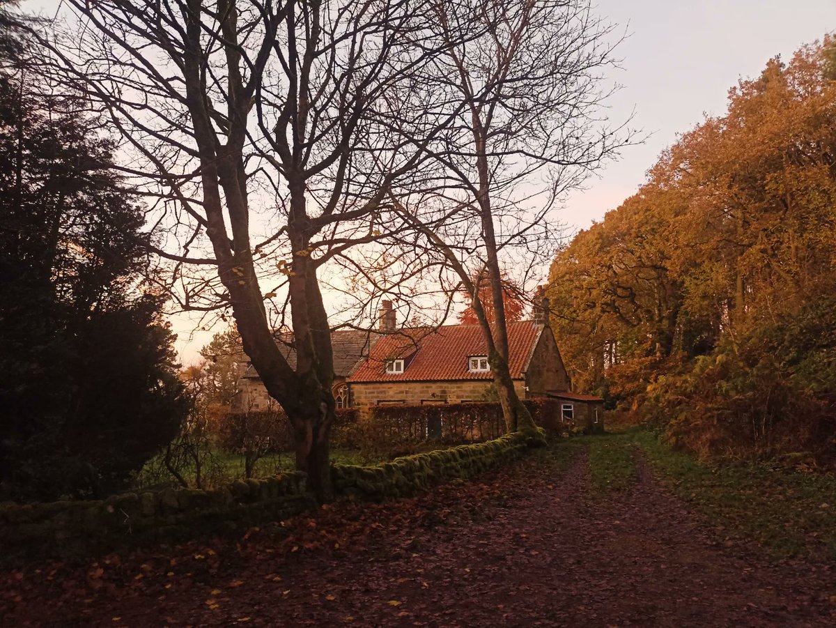 The Wright Rebecca tweet media