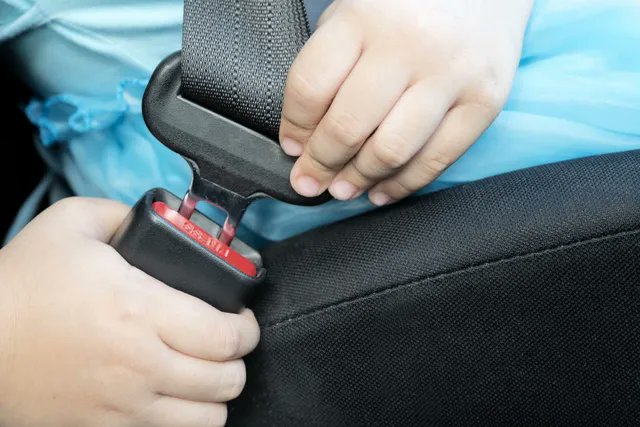 CaltransDist10's tweet photo. #SafetySam wants to remind you that today is #NationalSeatBeltDay. Driving safely is incredibly important! But, guess what's also very important for everyone in your vehicle; wearing a seatbelt. Seat belts save lives! #GoSafelyCA https://t.co/7Kg8BQgML9