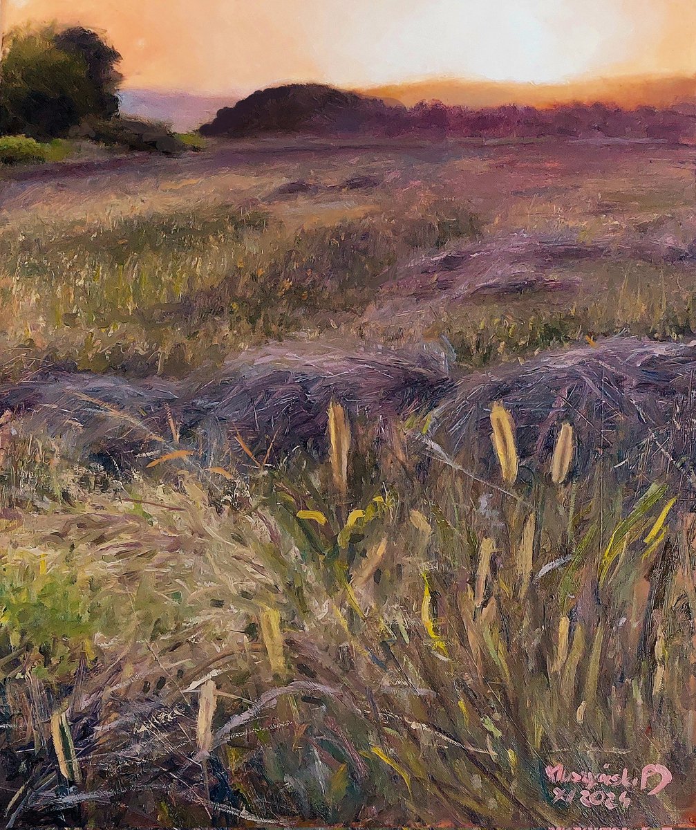 MuszynskiPJ's tweet photo. Summer sunset. Oil on canvas 50x60cm
Zachód słońca w lecie

#oilpainting #tradicionalart #contenporaryart #contenporarypainting #malarstwo #art #painting #landscapepainting #abstractart #artgallery #sunset https://t.co/JTPEn6i3N1