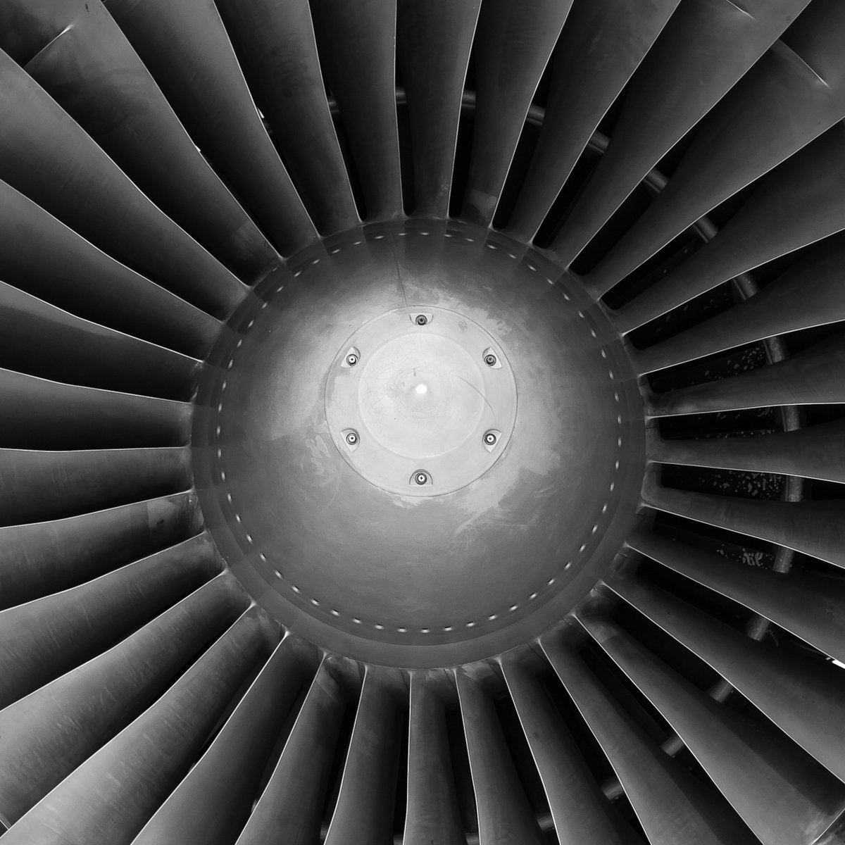 The U.S. Air Force invested over $1.2M in electron microscopy research initiatives that could unveil new technologies for aerospace materials. Visit 🔗 go.umd.edu/AirForceResear… to learn about the two projects led by Associate Professor Taylor Woehl.