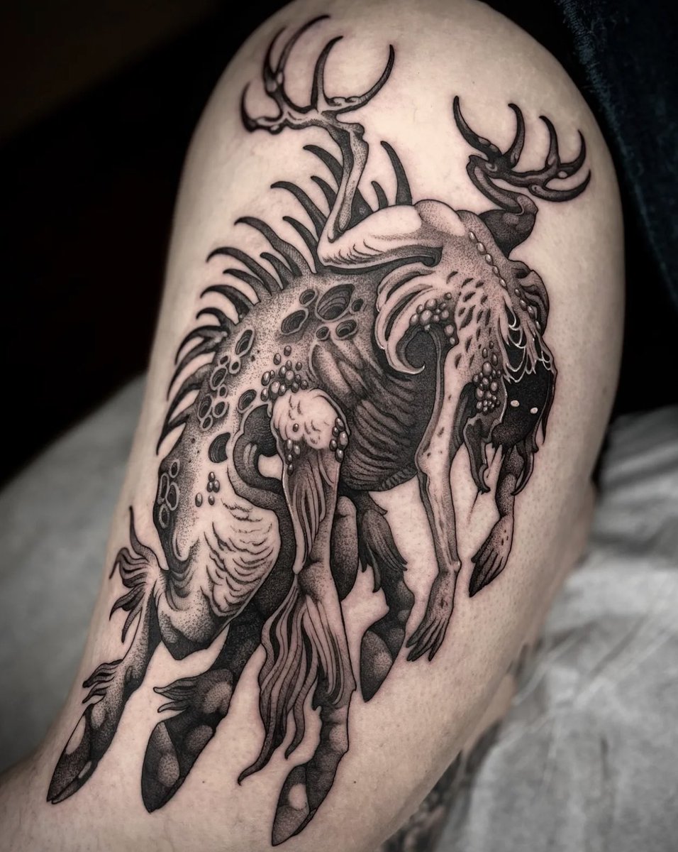 kayseeshuster's tweet image. Figured I’d post an updated pinned tweet. Follow me on IG where I am more professional and post more about openings n stuff hehe. (Please).