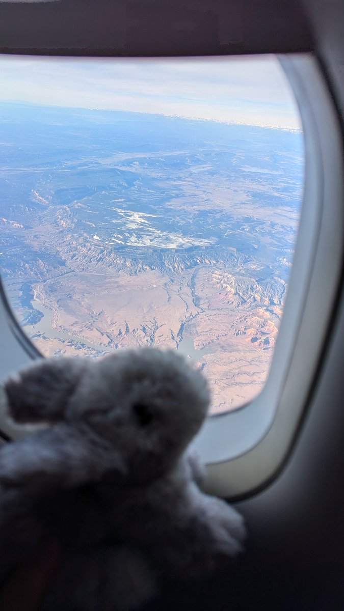 ElizabethBarko1's tweet image. Time to say goodbye to #CNSAM and San Diego. #Rocky had an amazing time learning, connecting, and daydreaming about future goals.  See you all again soon! Hasta el próximo año en Charlotte! @ChildNeuroSoc #NDD #childneurology
