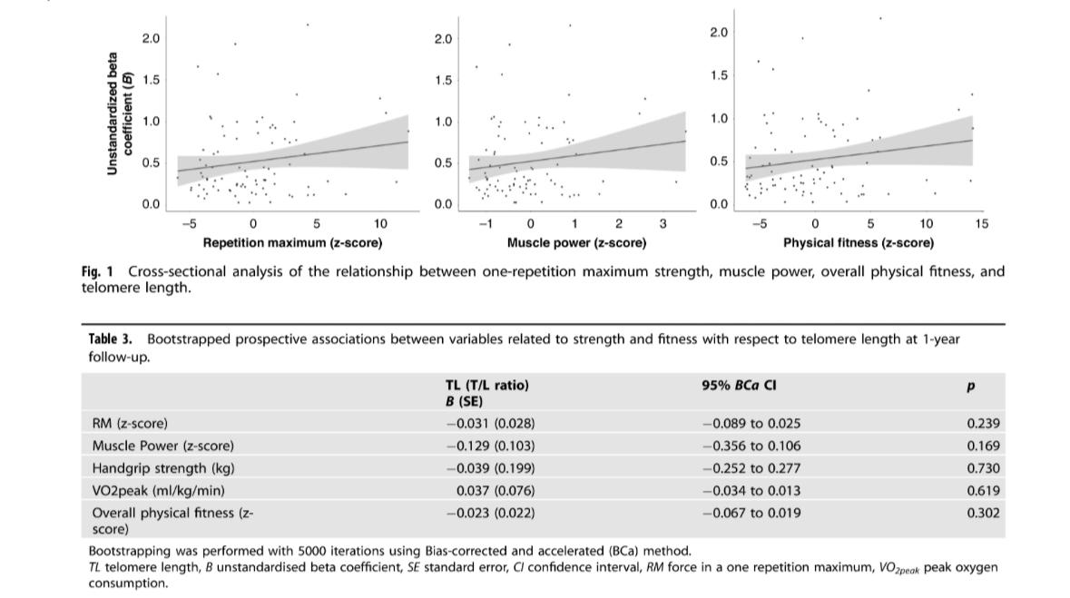 Dr. López-Gil (@jflopezgil) on Twitter photo Just published <a href="/Ped_Research/">Pediatric Research</a> 🔥
Higher physical fitness, especially muscle strength, is linked to longer telomere length in youth with type 1 diabetes. Strength training may help support long-term health in these youths.
Led by <a href="/Jacinto_MP_/">Jacinto Muñoz-Pardeza</a>🥰
Link :👉 doi.org/10.1038/s41390… Just published <a href="/Ped_Research/">Pediatric Research</a> 🔥
Higher physical fitness, especially muscle strength, is linked to longer telomere length in youth with type 1 diabetes. Strength training may help support long-term health in these youths.
Led by <a href="/Jacinto_MP_/">Jacinto Muñoz-Pardeza</a>🥰
Link :👉 doi.org/10.1038/s41390…