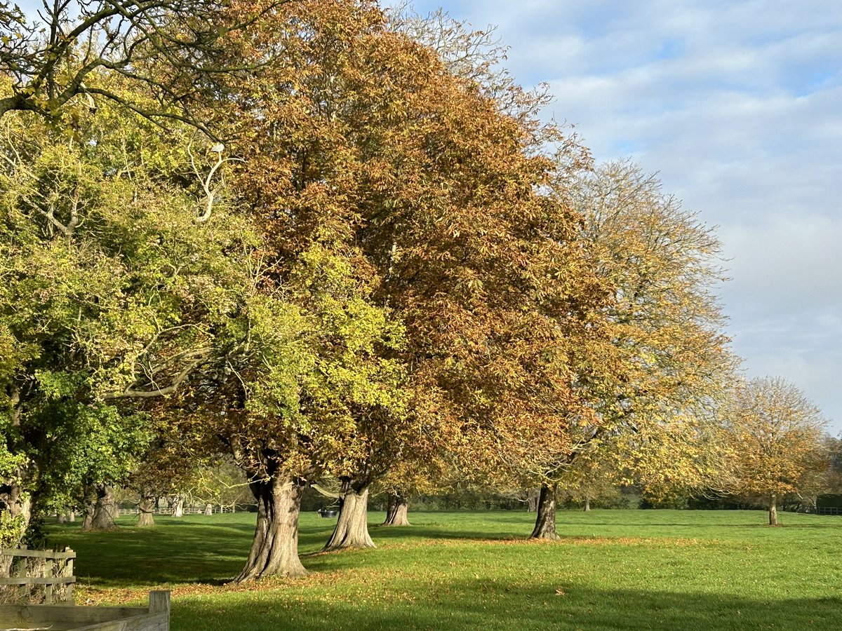 martyn_hird's tweet photo. It may not be the Lakes or the Peak District but still grateful for autumn colours and blue skies https://t.co/IWaGAMK8vi